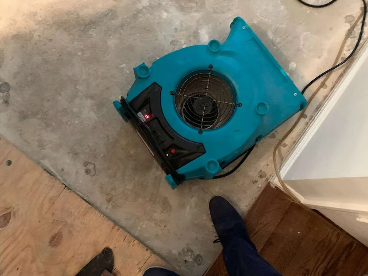 Air mover drying subfloor during Commercial Water Damage Restoration in Bernalillo
